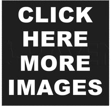 Load image into Gallery viewer, Raven R1509 PVC Termination Vent