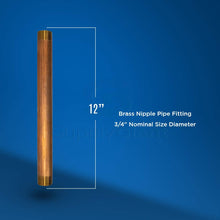 Load image into Gallery viewer, Everflow Supplies NPBR3412 12" Long Brass Nipple Pipe Fitting with 3/4" Nominal Diameter and NPT Ends