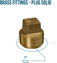 Load image into Gallery viewer, Supply Giant CSTQ0100 1-Inch Male National Taper Threads Solid Plug with Square Head, Lead Free Brass Pipe Fitting, Higher Corrosion Resistance Economical & Easy to Install, 25