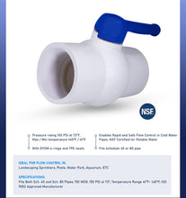 Load image into Gallery viewer, Midline Valve PVC Ball Valve Blue T-Handle for Potable Water