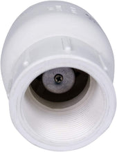 Load image into Gallery viewer, Midline Valve PVC Inline Check Valve for Backflow Prevention