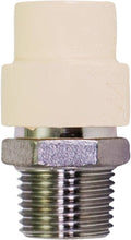 Load image into Gallery viewer, Supply Giant TTDQN056 Male x CPVC Adapter Transition Pipe Fitting; Durable Over Molded One-Piece Design; 3/4 in.; Lead Free Stainless Steel