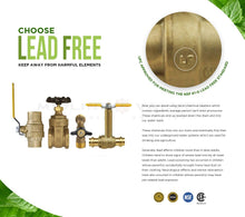 Load image into Gallery viewer, Midline Valve Swing Check Valve, Backflow Prevention, Lead Free 1/2 in. FIP Connections