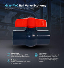 Load image into Gallery viewer, Midline Valve PVC Ball Valve with Pink T-Handle for Potable Water Use