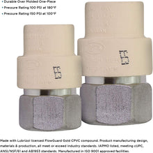 Load image into Gallery viewer, Supply Giant TTDQG034 Female x CPVC Adapter Transition Pipe Fitting; Durable Over Molded One-Piece Design; 1/2 in.; Lead Free Stainless Steel