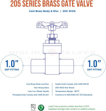 Load image into Gallery viewer, MIDLINE VALVE 427D234 Gate Valve