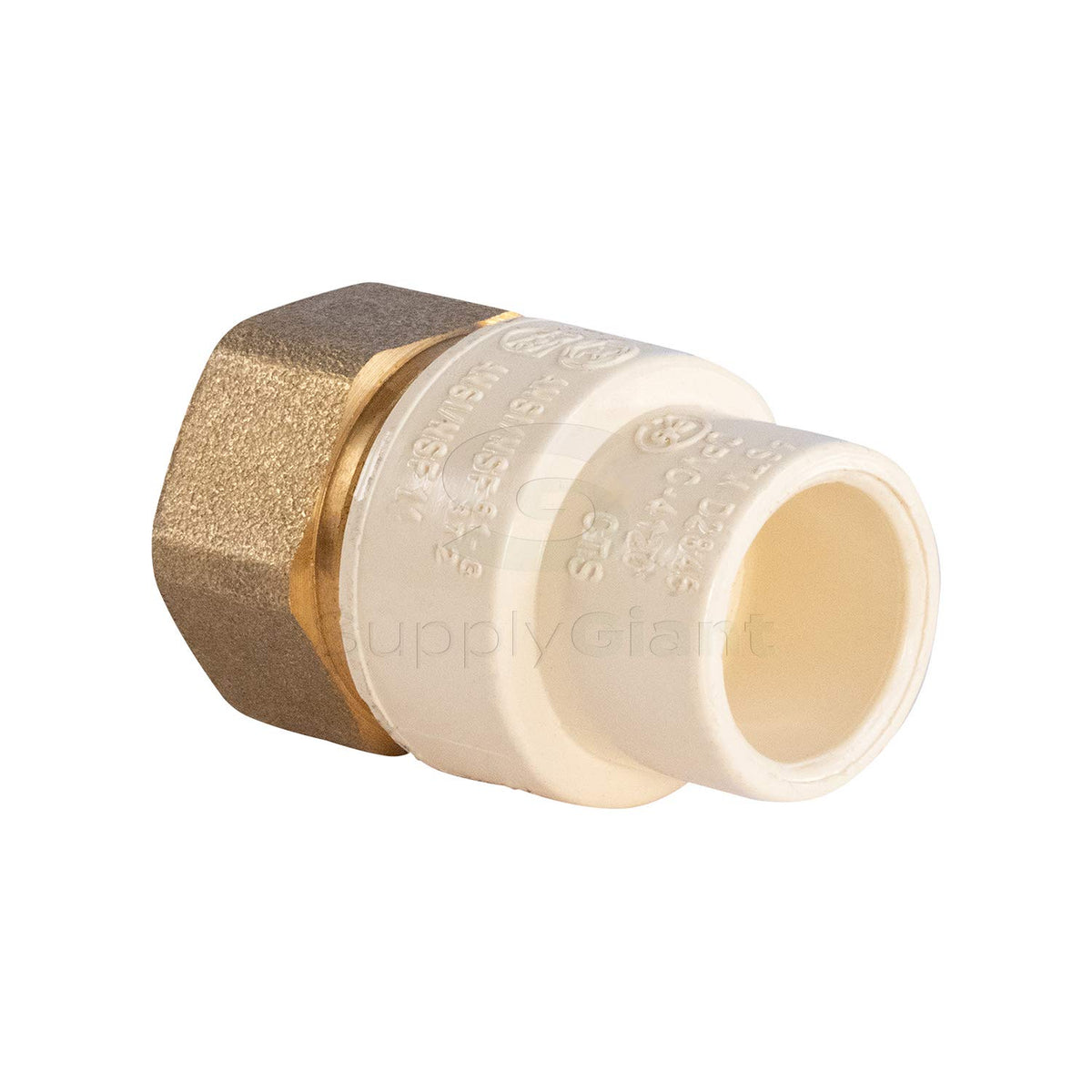 Supply Giant CSDQG034 Female x PVC Adapter Transition Pipe Fitting Dur ...