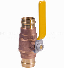 Load image into Gallery viewer, Midline Valve
