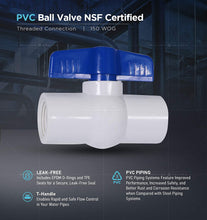 Load image into Gallery viewer, Midline Valve PVC Ball Valve Blue T-Handle for Potable Water
